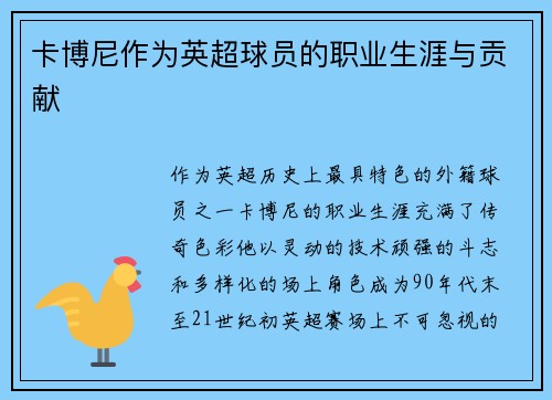 卡博尼作为英超球员的职业生涯与贡献